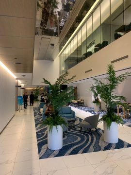 Hilton Surfers Paradise Hotel 1